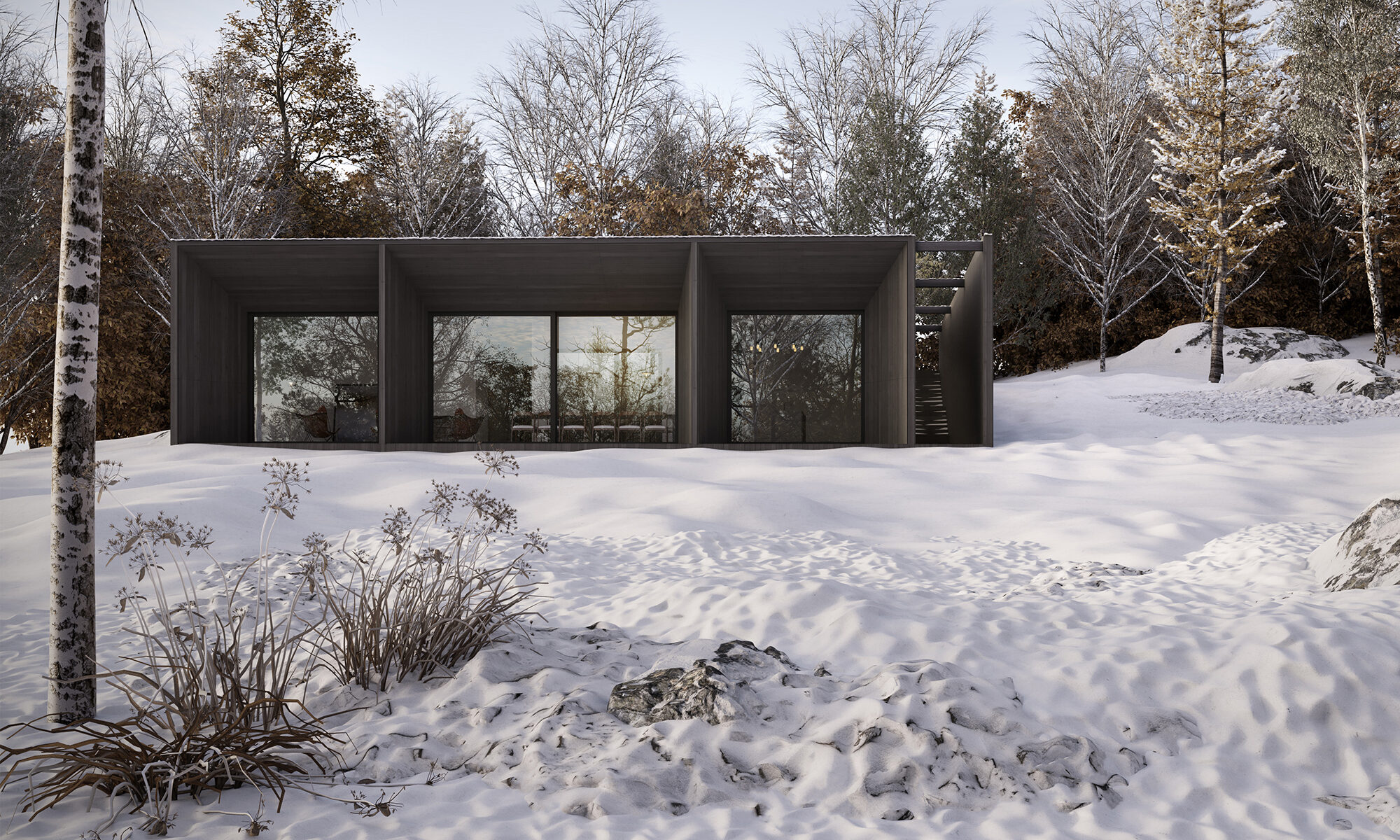 casa térrea em arquitetura moderna próximo a uma floresta com neve