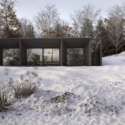 casa térrea em arquitetura moderna próximo a uma floresta com neve
